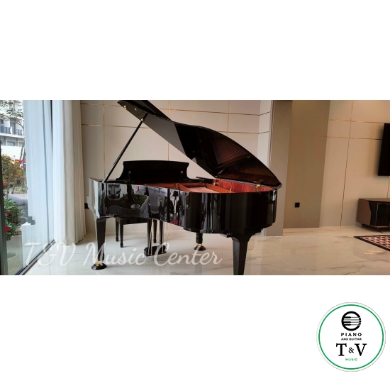 Boston GP-215PE( Brand New )