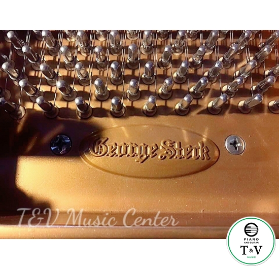 Grand Geogre Sterk ( GS208-HLBC)