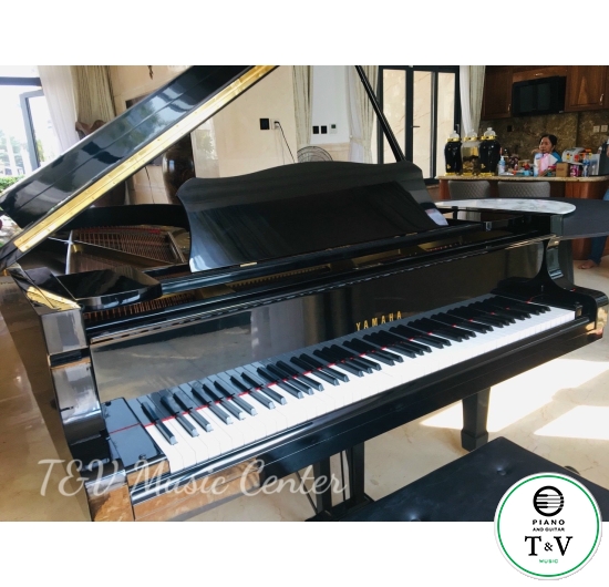 Grand Yamaha C7