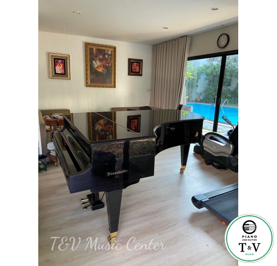 Bösendorfer Model 290 SR 41268-8007