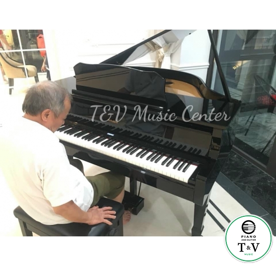 Roland GP-609(PE)(Brand New)