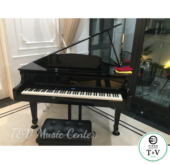 Roland GP-609(PE)(Brand New)