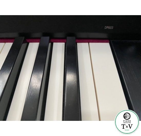 Roland DP603B