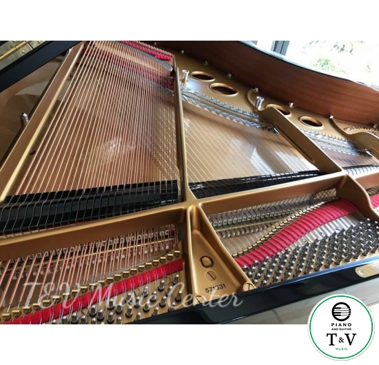 Grand Steinway  SR571331