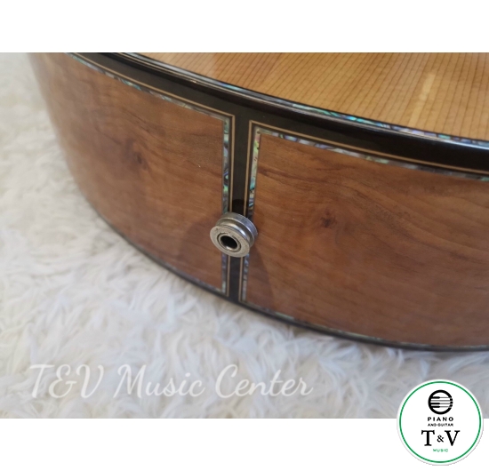 Acoustic Guitar A010(1)