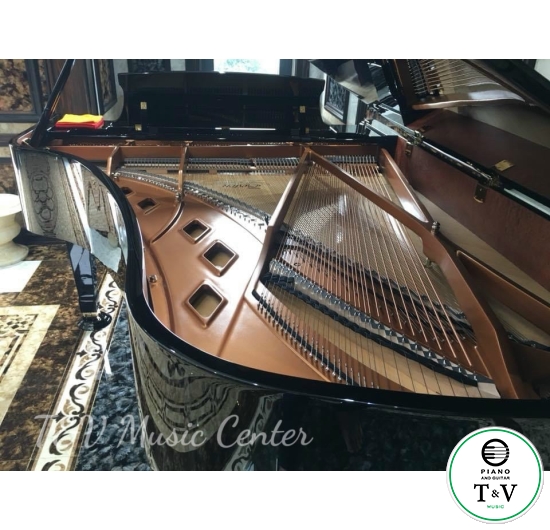 Boston GP-215PE( Brand New )