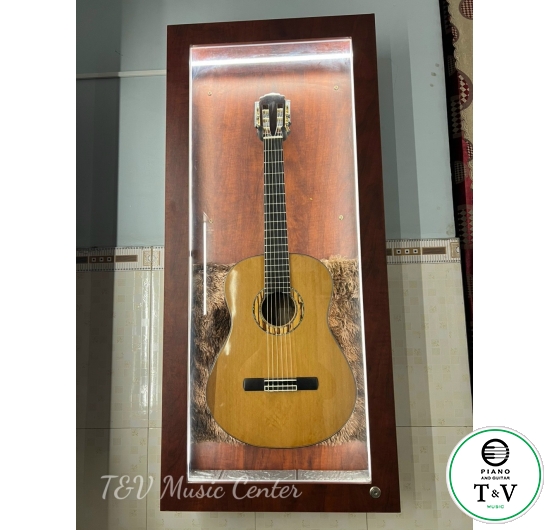 Guitar Classic A030
