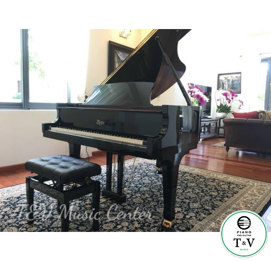 Boston GP-178PE II(Brand New )