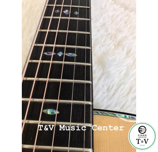 Acoustic Guitar (2/4) Dáng Martin