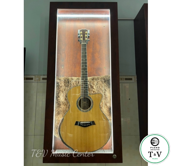 Acoustic Guitar A010(1)