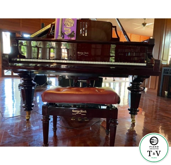 Grand Geogre Sterk ( GS208-HLBC)