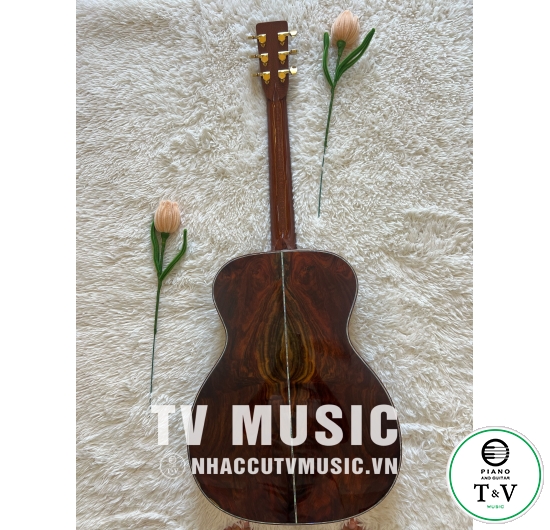 Guitar Acoustic OM-10