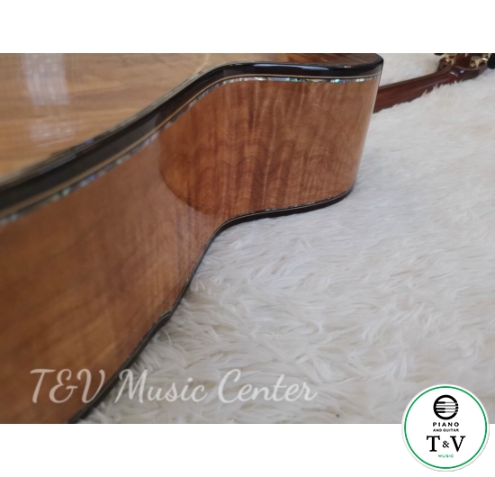 Acoustic Guitar A010(1)