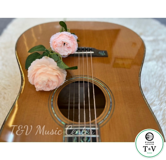 Acoustic Guitar A032 D-45( Martin )