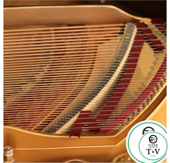 Steinway&Son Model B( Louis XV )