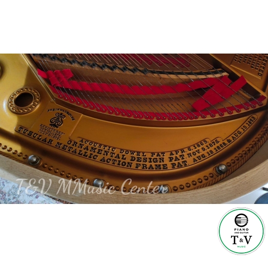 Steinway&Son Hoàng Gia