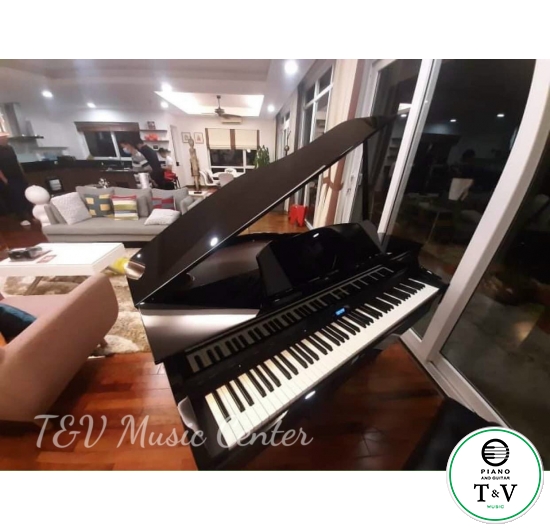 Roland GP-609(PE)(Brand New)