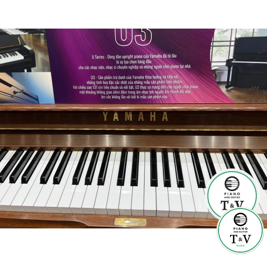 Yamaha U3 ( Wood ) ( Brand New )