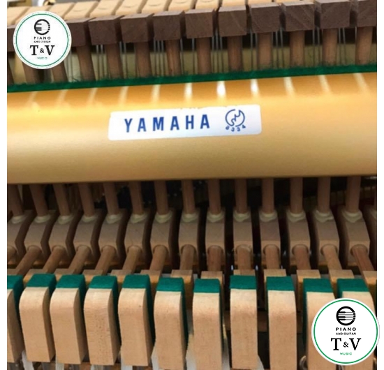 Yamaha W3Awn