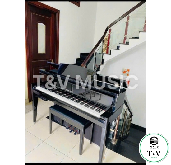 Yamaha N1X( Hybrid )