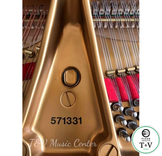 Grand Steinway  SR571331