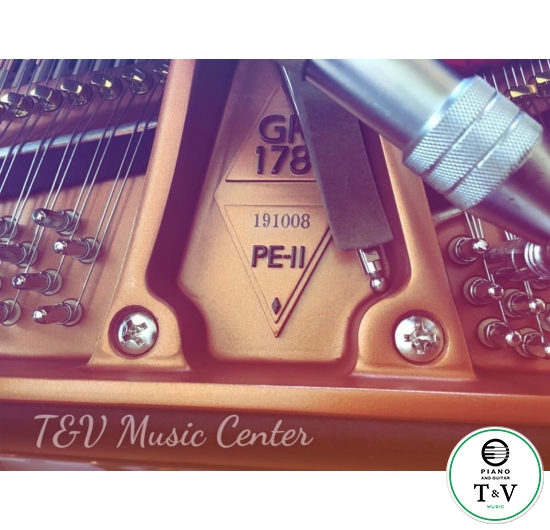 Boston GP-178PE II(Brand New )