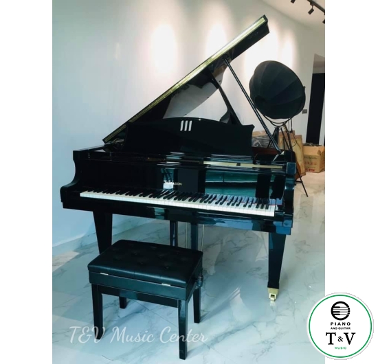 Grand Dipason 171-BG