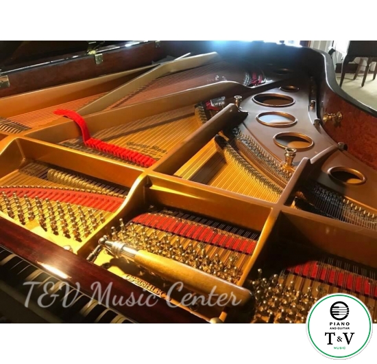 Grand Geogre Sterk ( GS208-HLBC)