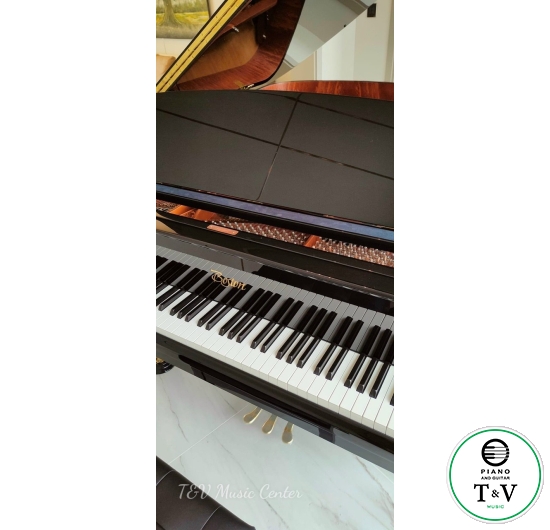 Boston GP-215PE( Brand New )