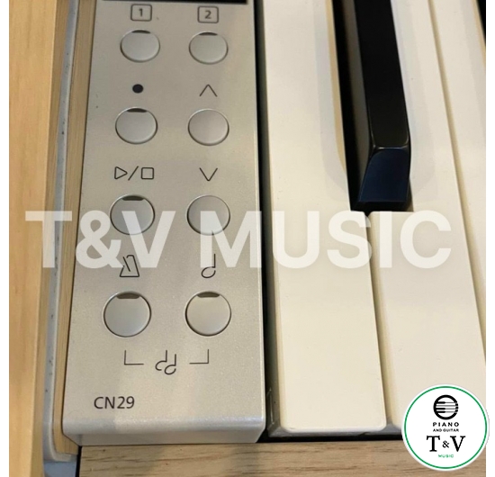 Kawai CN29 