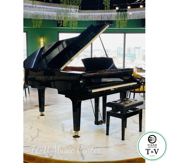 Yamaha C3X( Brand New )( PE )