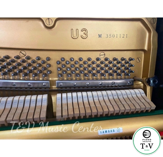 Yamaha U3M(1)