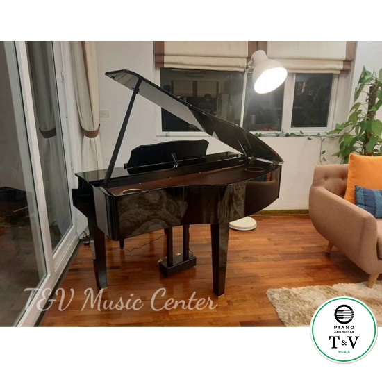 Roland GP-609(PE)(Brand New)