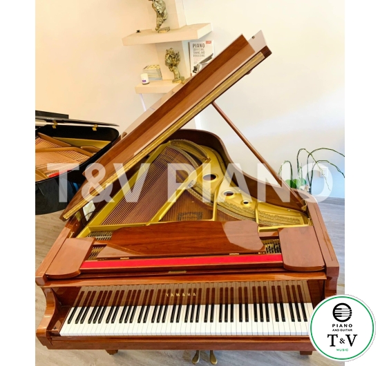 Yamaha G3E ( Mahogany )