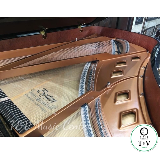 Boston GP-215PE( Brand New )