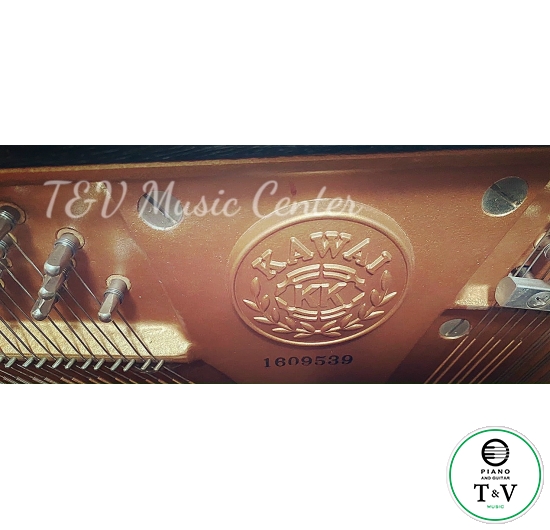 Kawai TP-125