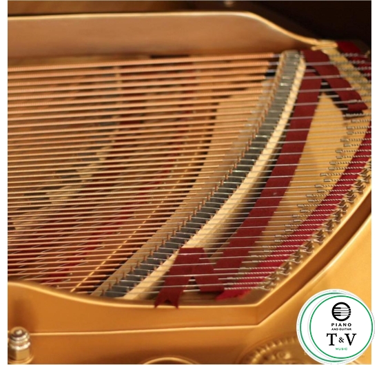 Steinway&Son Model B( Louis XV )