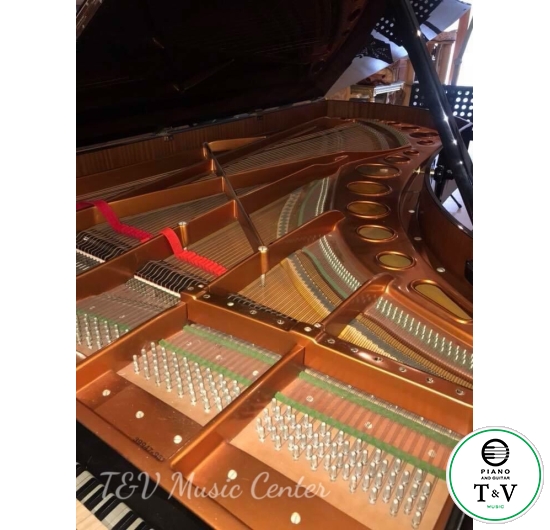  Bosendofer Model 280VC ( 88 Phím )