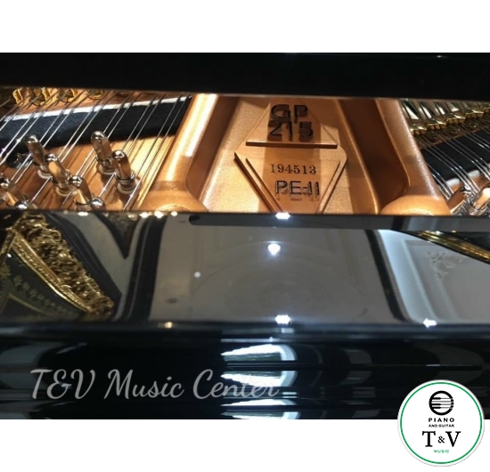 Boston GP-215PE( Brand New )