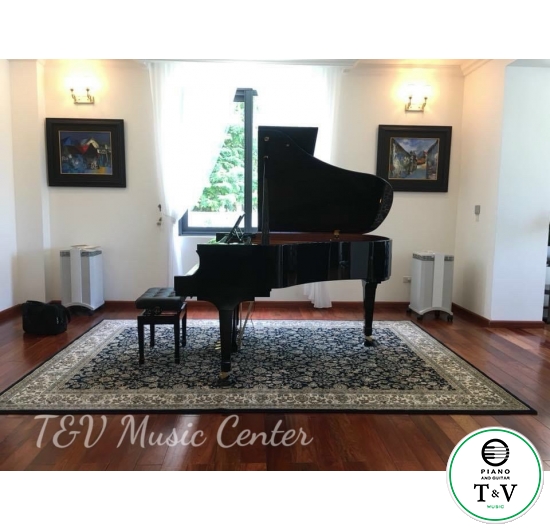 Boston GP-178PE II(Brand New )