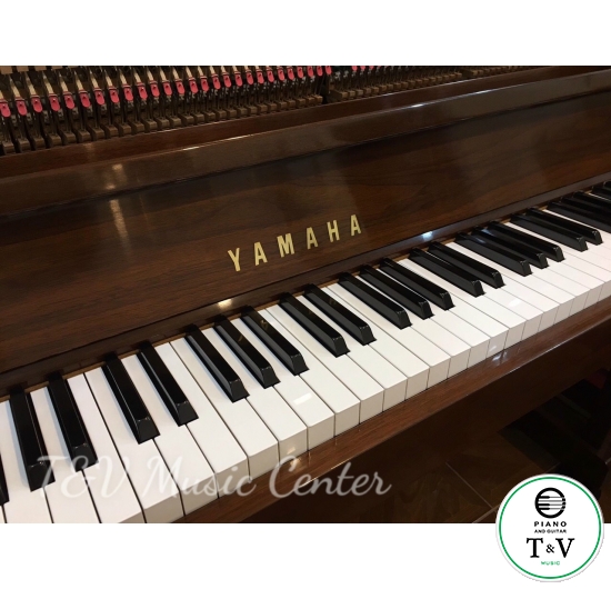 Yamaha YU30 ( Màu Gỗ )( PE)