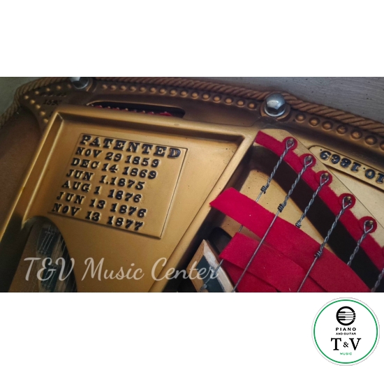 Steinway&Son Hoàng Gia