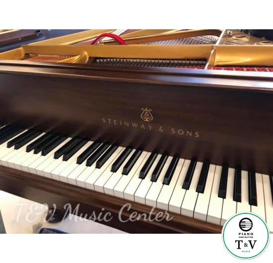 Steinway&Son B Series 428167