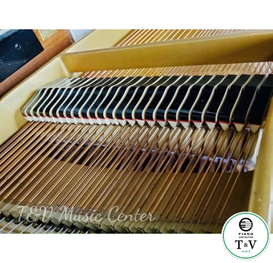 Grand Dipason 171-BG