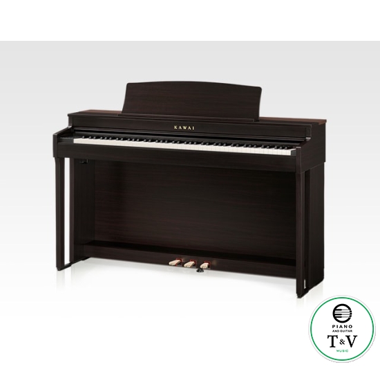 Kawai CN301