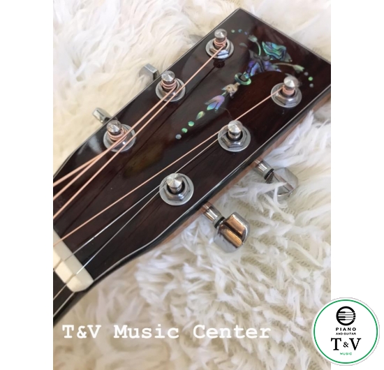 Acoustic Guitar (2/4) Dáng Martin