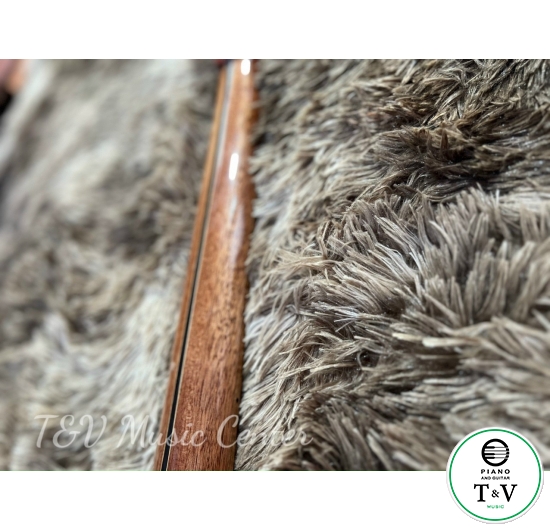 Guitar Acoustic A0115(Gibson )