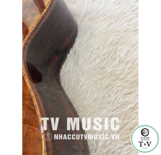 Acoustic Guitar GB-25