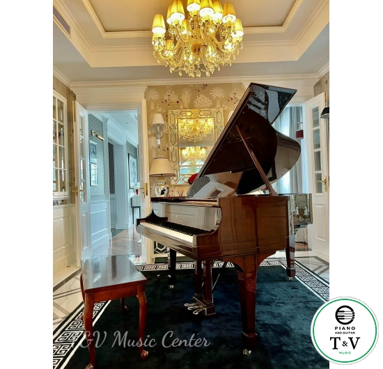 Steinway&Son Model C ( Mahogany )