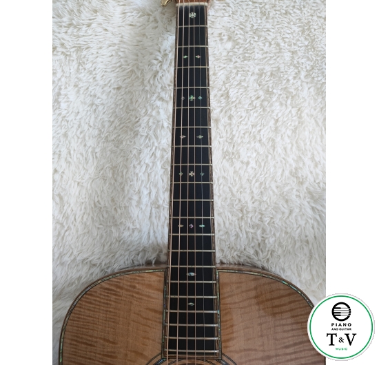Guitar A120